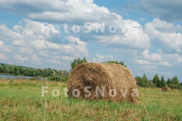 стог,_сноп,_сено,_